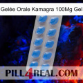 Gelée Orale Kamagra 100Mg Gel 22